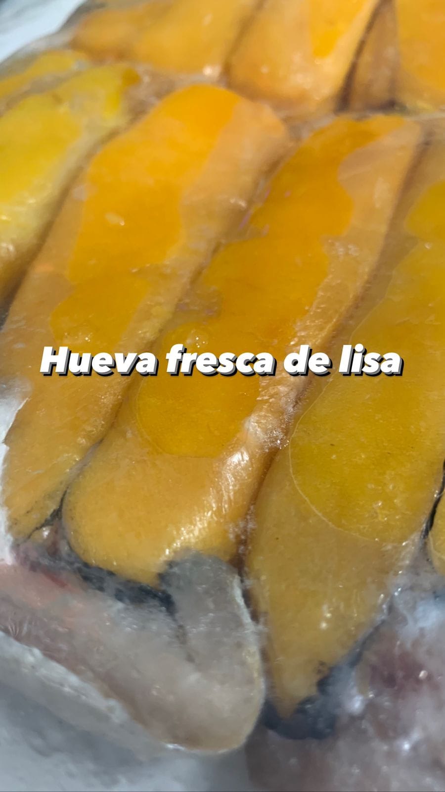 pescados-y-mariscos-laurita-tuxpan-de-rodr-guez-cano-centro