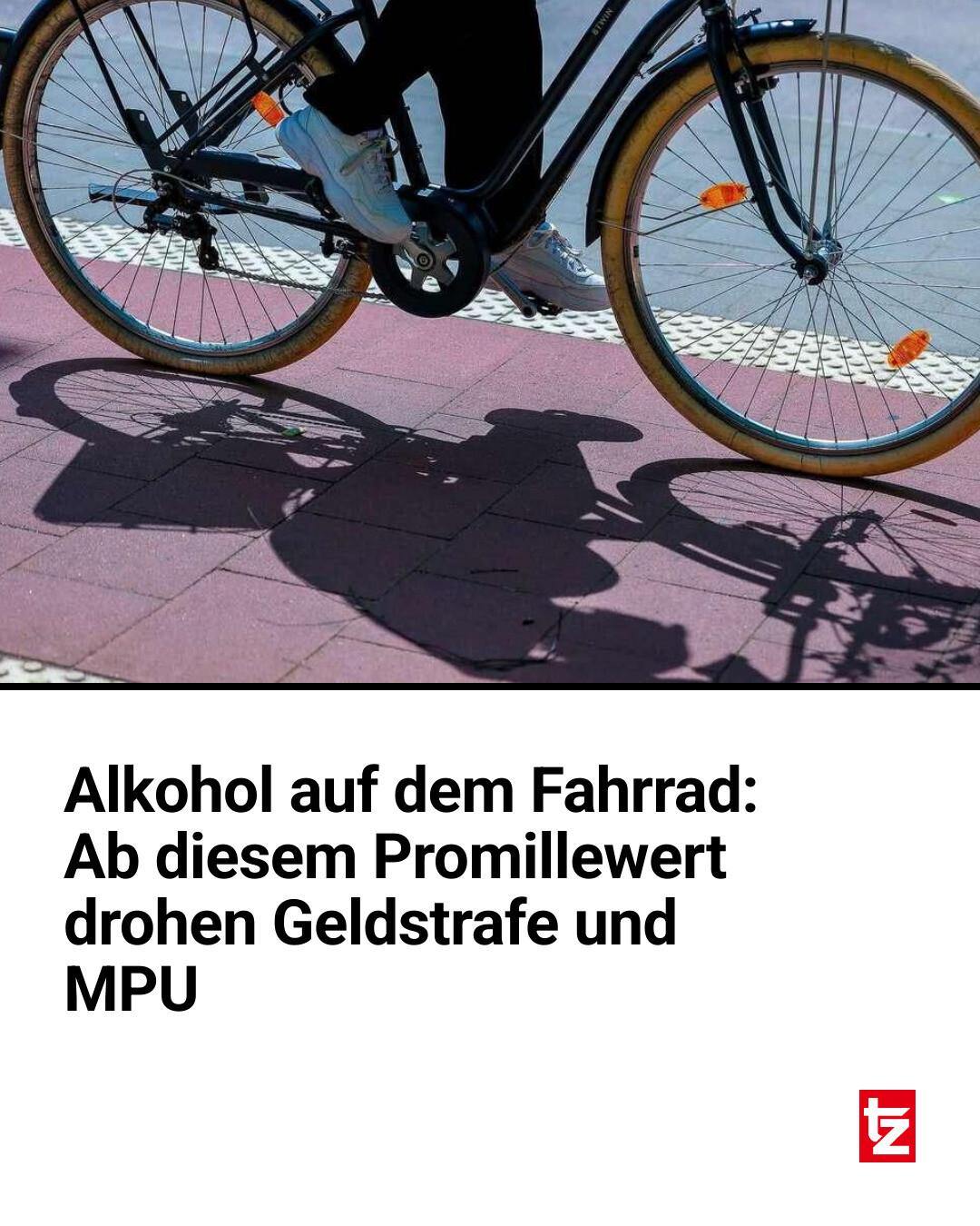 adac fahrradschloss KRASER KR45B Wandanker Motorrad und Fahrrad, Einzigartig Anti-Brexhtange-Basis, Kompakt und Widerstandsfähig, Bodenanker hohe Sicherheit, Motorradschloss, Fahrradschloss, kompatibel mit Ketten Auto & Motorrad Wähle dein Motiv:Eichhörnchen Alter_ab 8 Jahre E-MOUNTAINBIKE Leserumfrage 2025 –