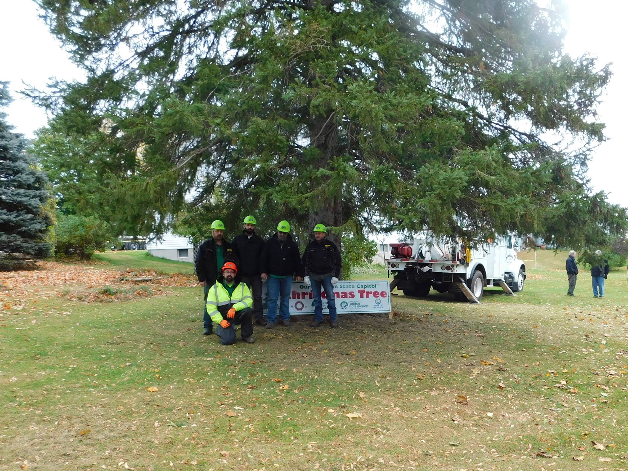 A spruce tree from... - Michigan Association of Timbermen