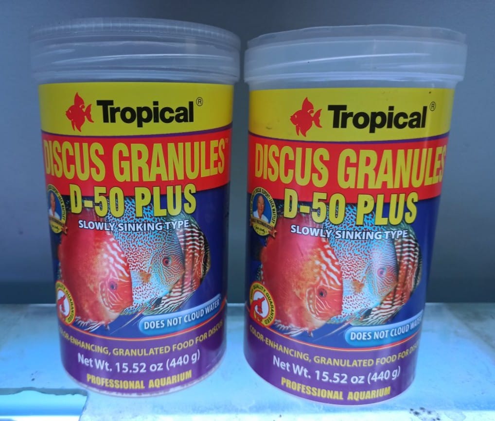 Hola pongo a disposición alimento... - Discus Fish by JC | Facebook