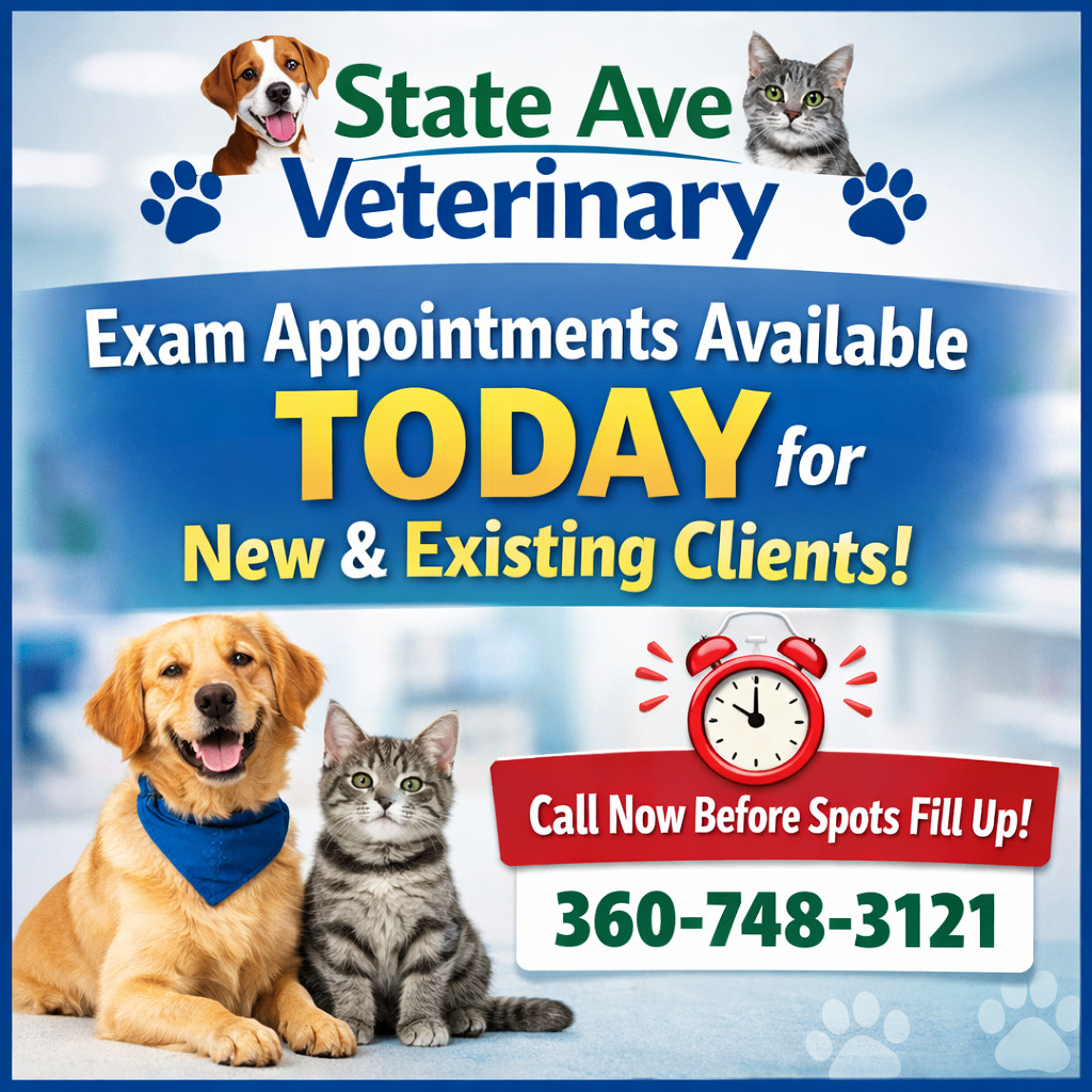 State Ave Veterinary Hospital formerly Newaukum Valley Veterinary ...