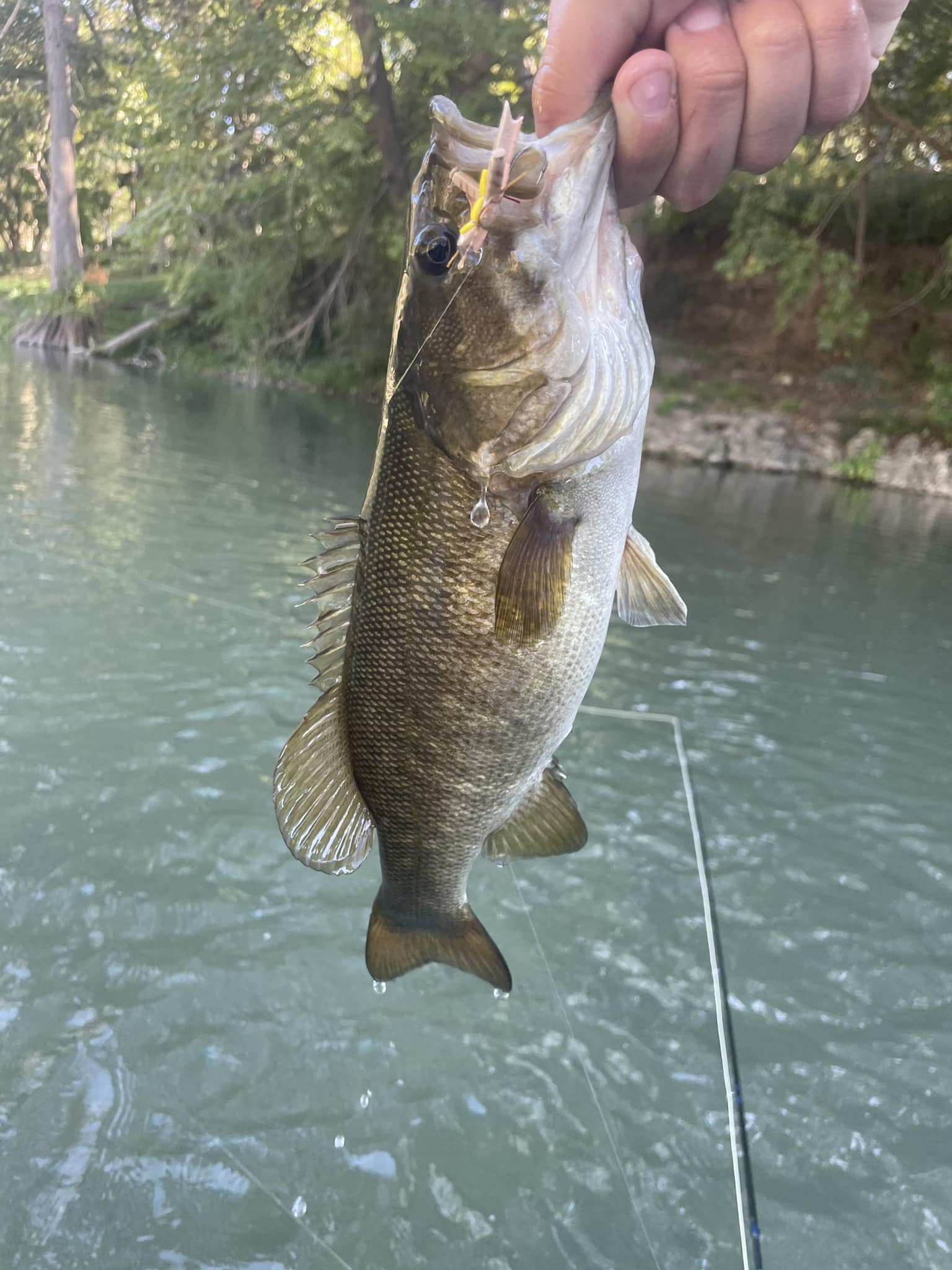 shakespeare ugly stik gx2 6'6 6-15 lb pdf Stick TIBOR - Billy Pate fishing floats catching cosmetics for a Color:Firetiger/Firetiger
