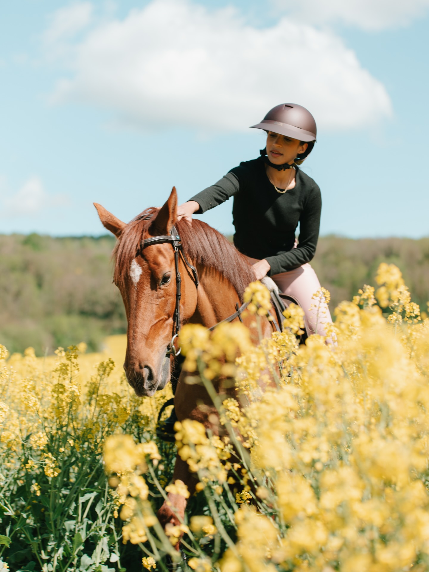 TdeT Bridon Biotack Jaune - Bridon Synthétique Cheval Avec Boucles Ouvertes Et Noseband Amovible
