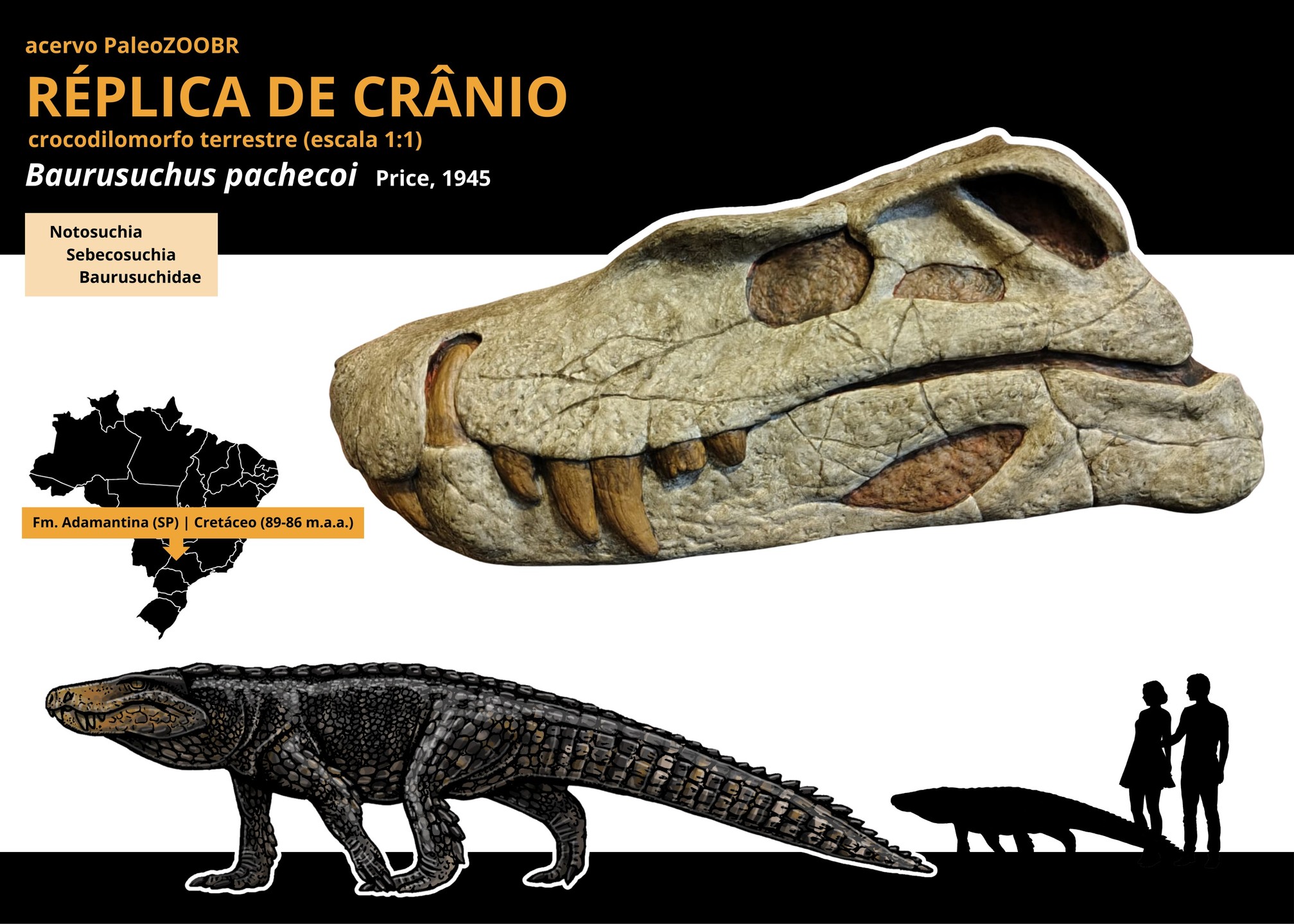 Paleozoo Brazil