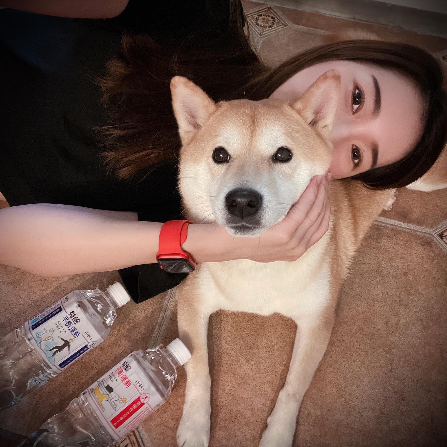 杜杜/Milk Du - 奈奈看我在運動的時候常常靠過來參一腳 然後露出：我不做，但我看你做的表情😌 真是覺得又氣又好...