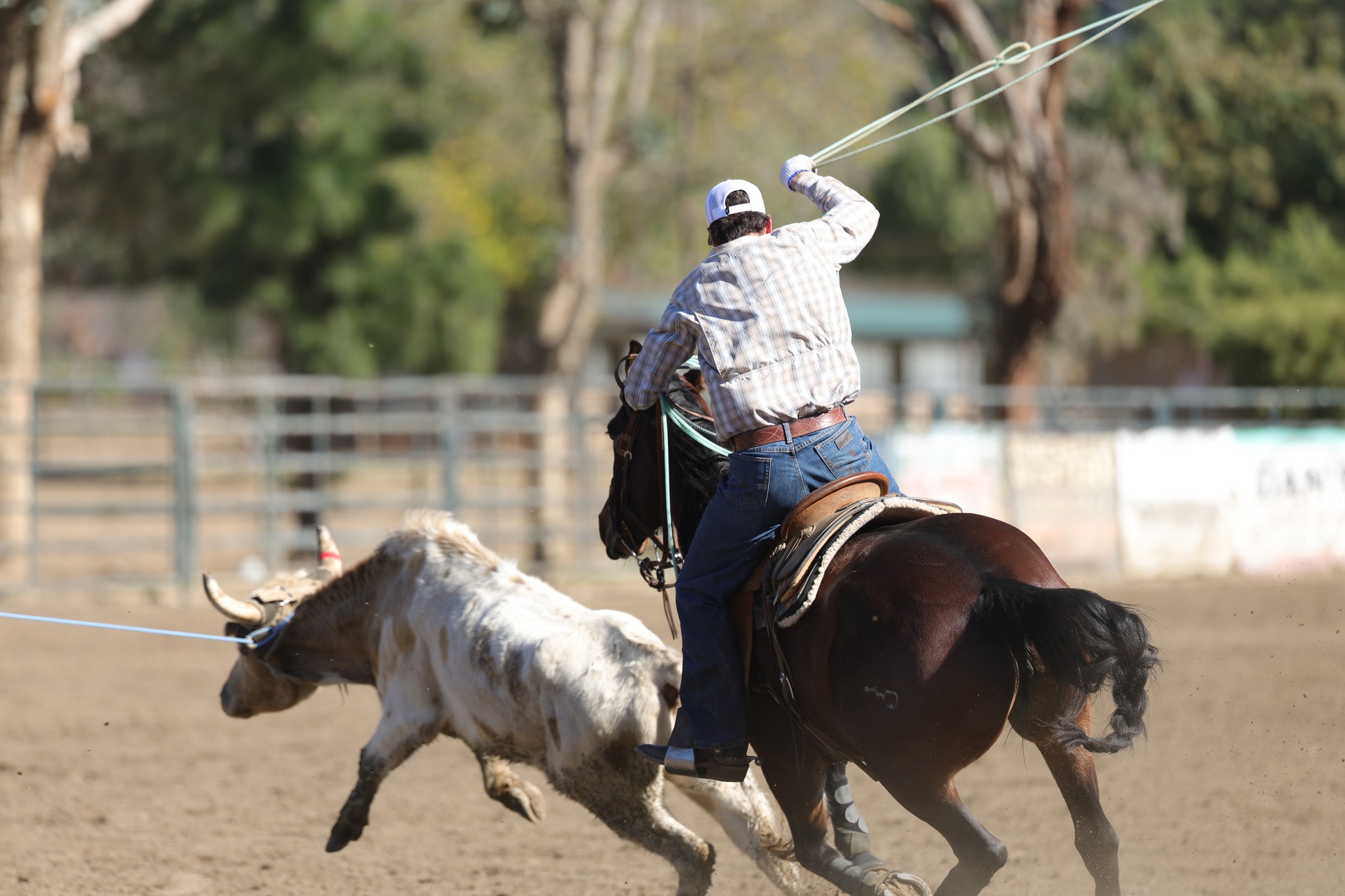 Tyler Wade Team Roping added a... - Tyler Wade Team Roping