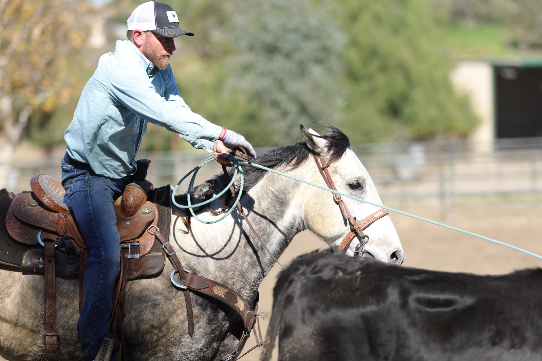 Tyler Wade Team Roping added a... - Tyler Wade Team Roping
