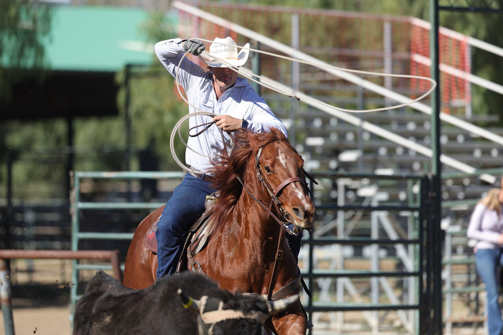 Tyler Wade Team Roping added a... - Tyler Wade Team Roping