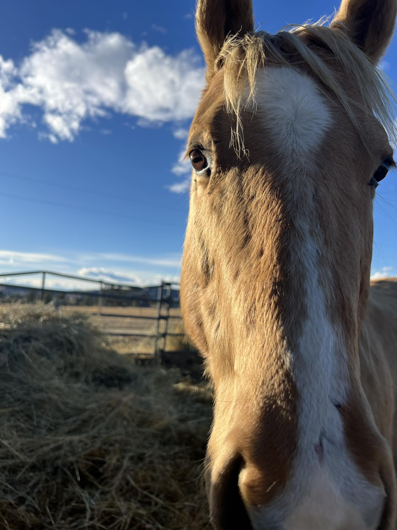 S Diamond K Ranch, LLC