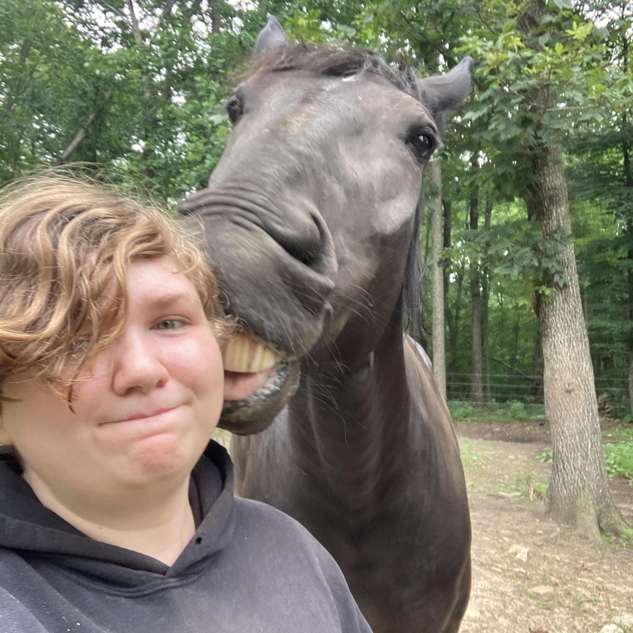 ISO Freeform treeless saddle | Facebook