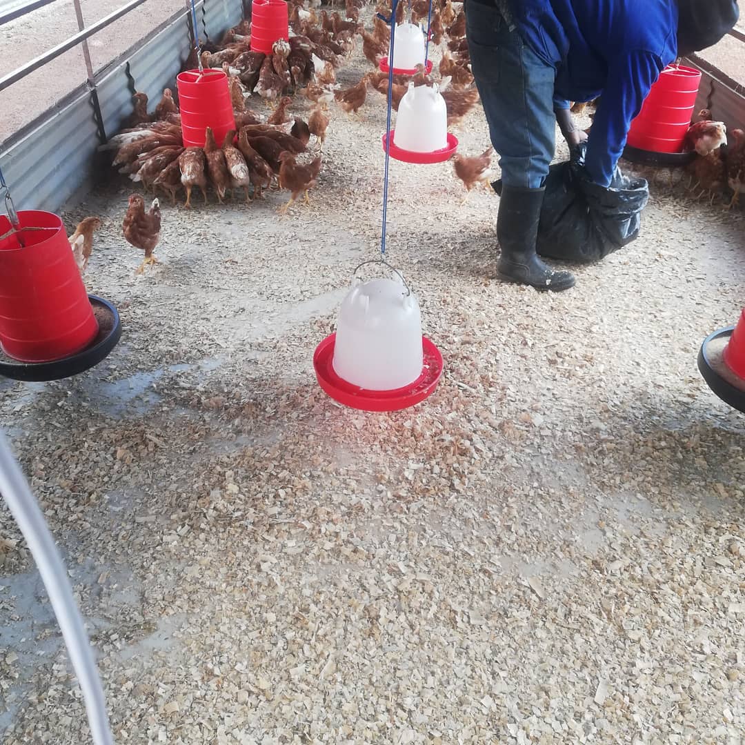 Every work put in is... - Peezel Farms 