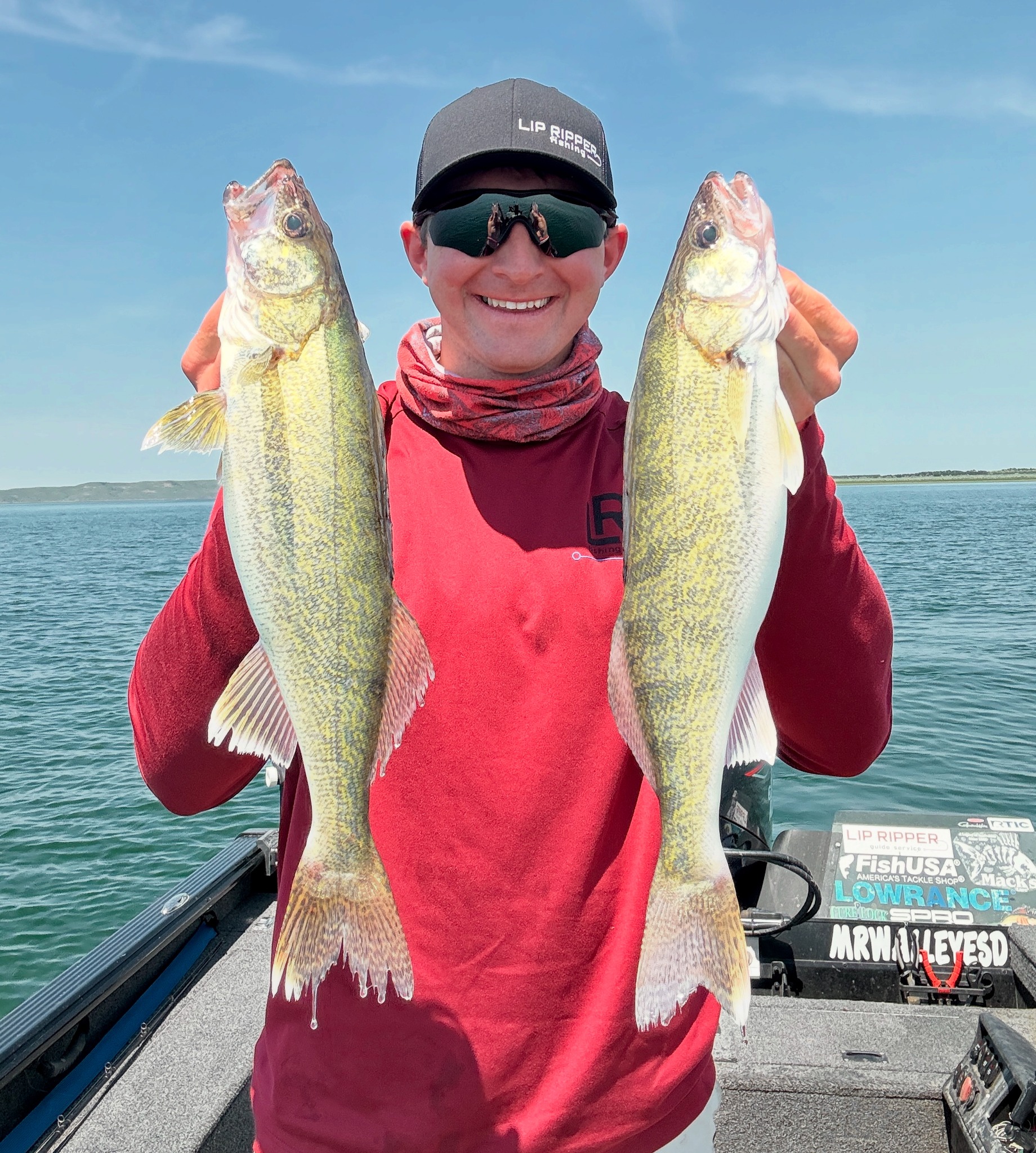 The walleye fishery on Upper Lake... - Lip Ripper Fishing | Facebook