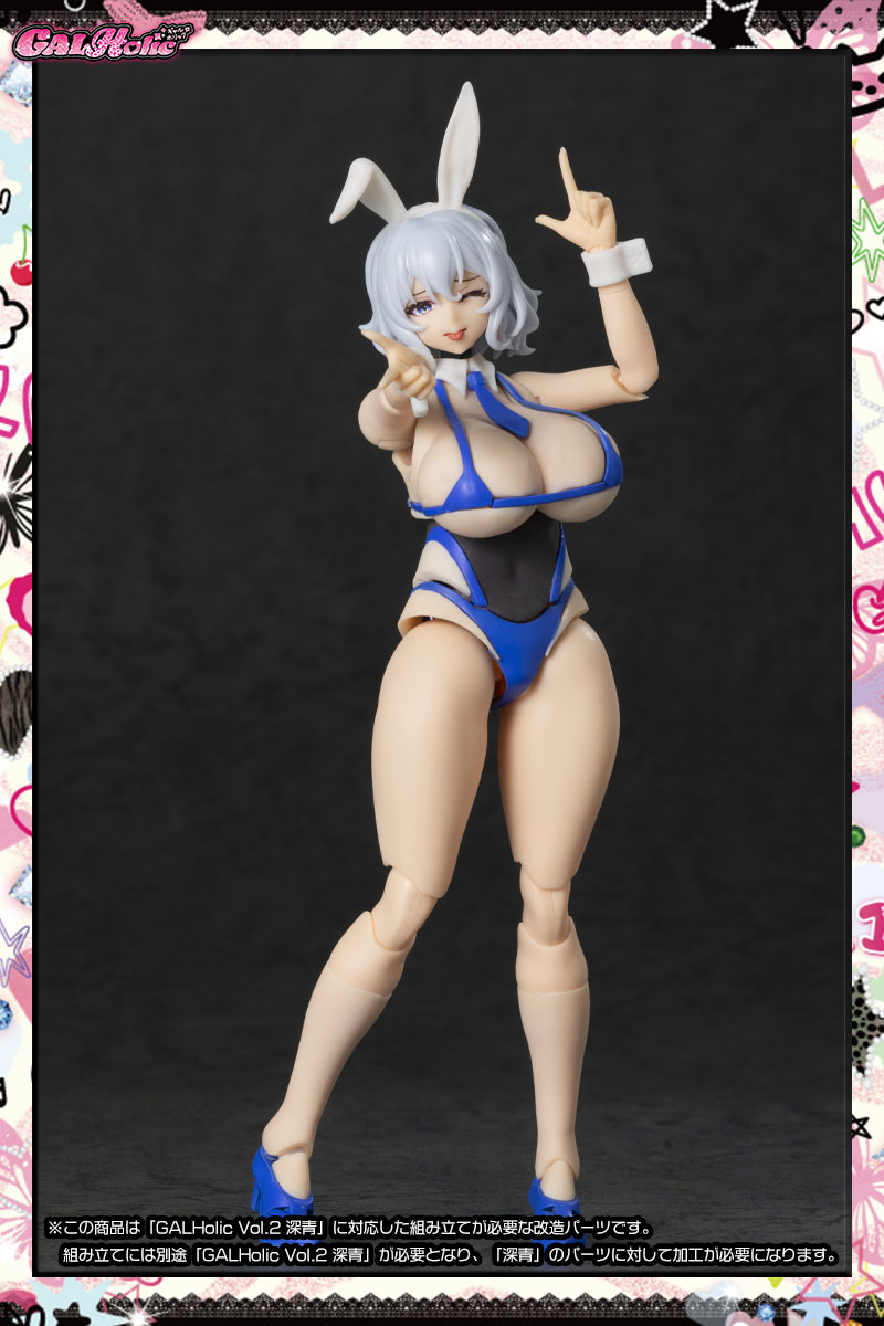 新品未開封 GALHolic Customize Resin Kit vol.2 AMAKUNI - GALHolic
