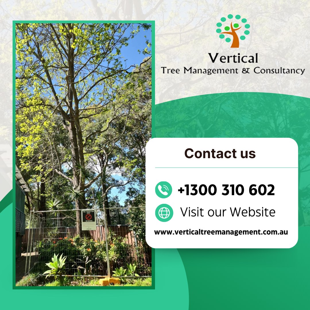 Vertical Tree Management & Consultancy