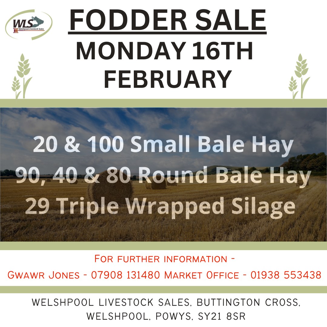 Welshpool Livestock Sales... - Welshpool Livestock Sales Ltd