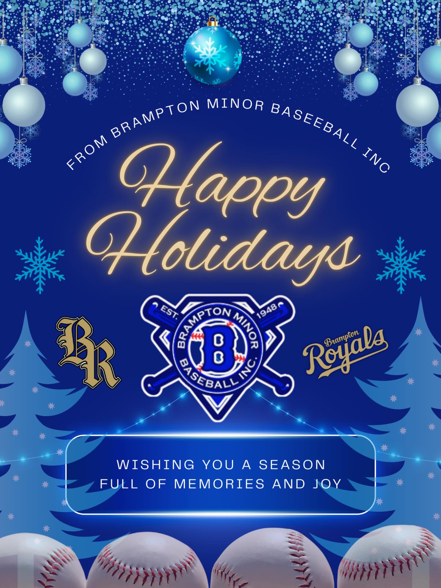 Brampton Minor Baseball Inc