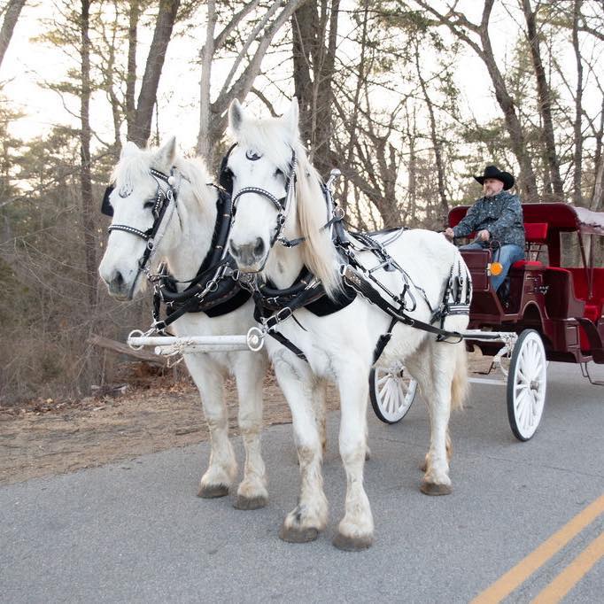 🐴 Horse-Drawn Carriage Rides in Downtown Wakefield 🐴