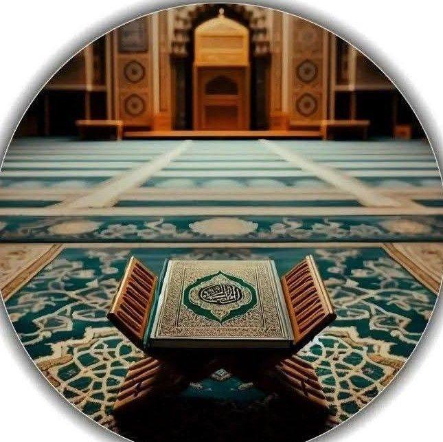 Surah Fatah ️ #islamicvideo #quranquotes #quranrecitation #quranverses ...