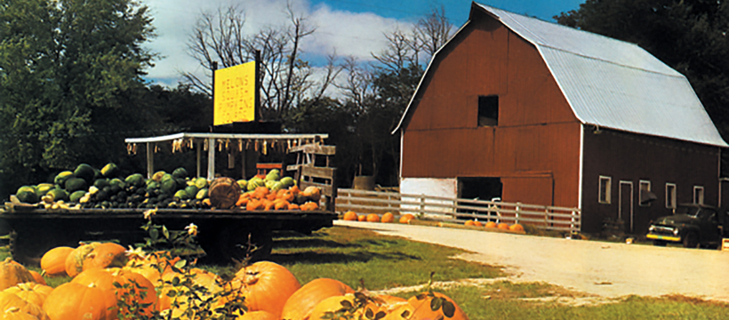 Blain's Farm & Fleet