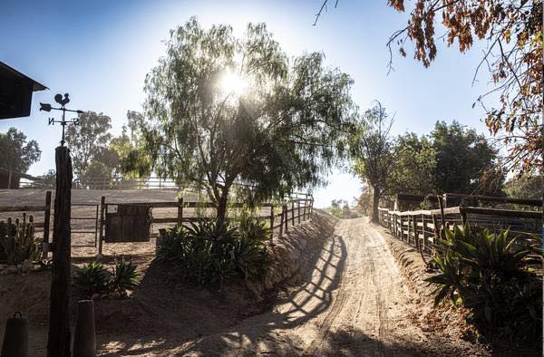 Shadow - Shadow Hills Equestrian Center is now Silver Inspiration Ranch ...