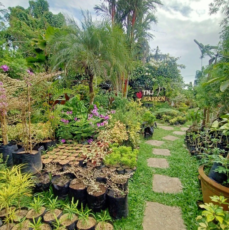 Work Done #HappySunday #lucenacityjeribengarden #sariayaQuezonProvince ...