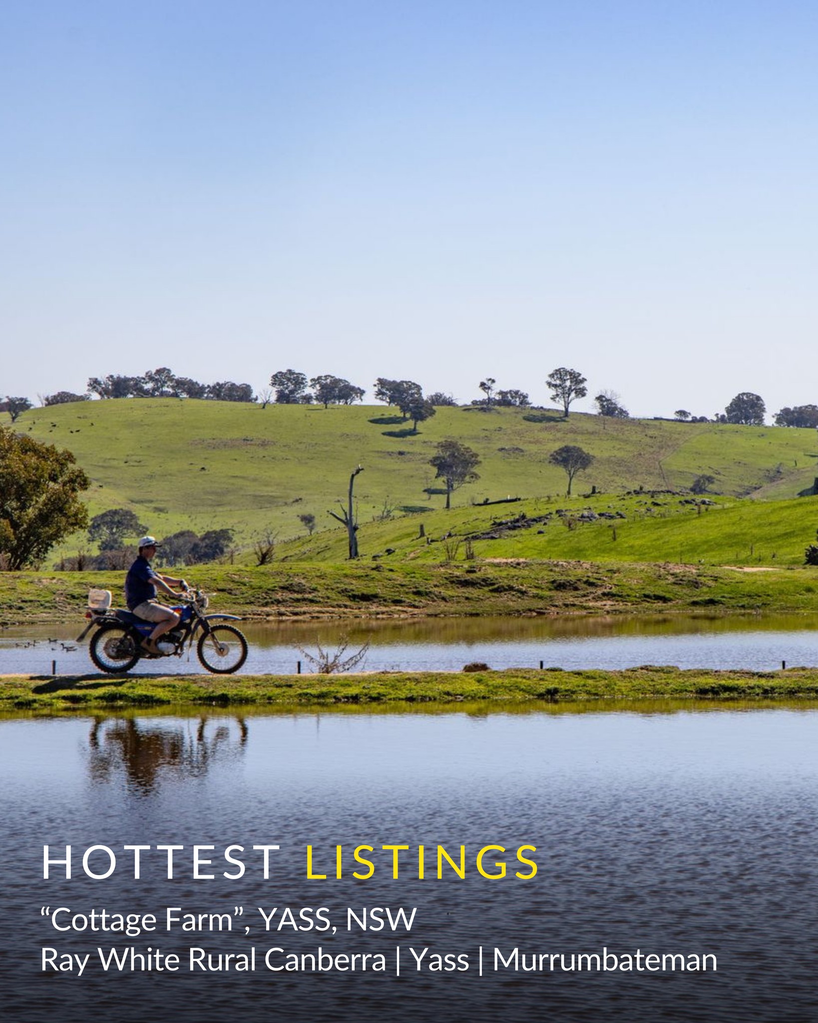 Ray White Rural - The top 5 hottest rural properties on... | Facebook
