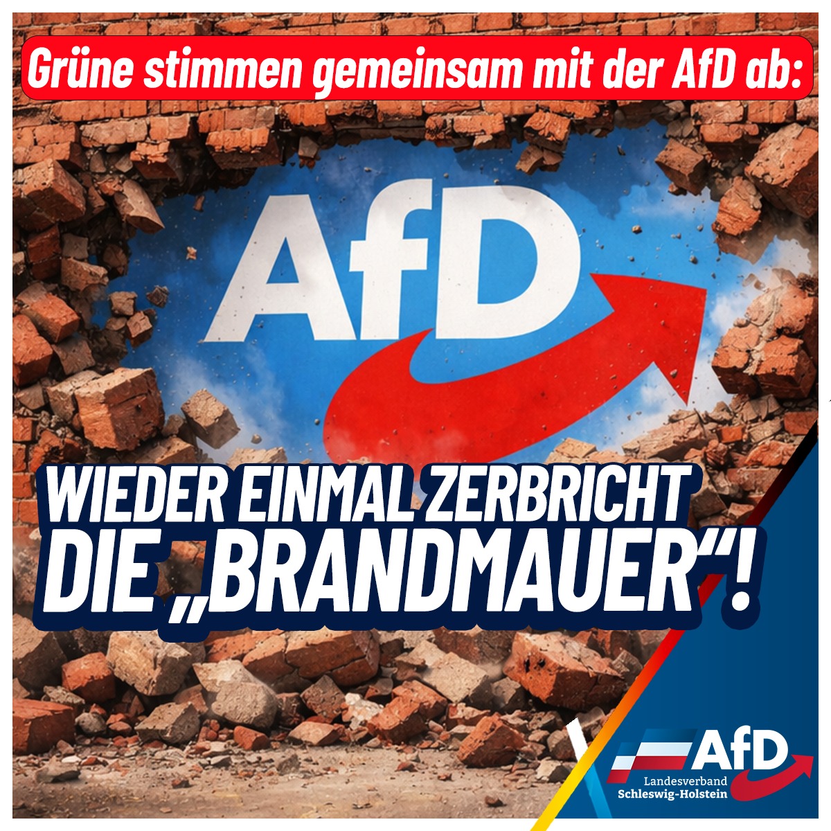Die Grünen haben im... - AfD Schleswig-Holstein | Facebook