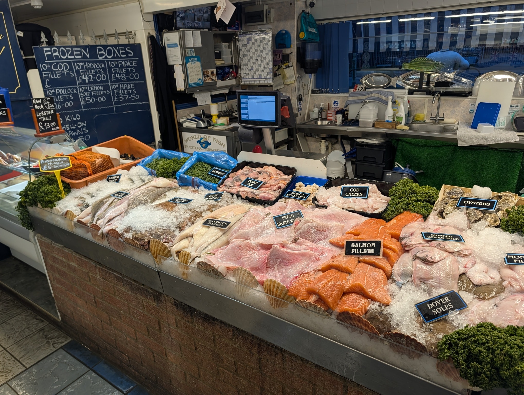 World of FISH - World of FISH added a new photo — in...