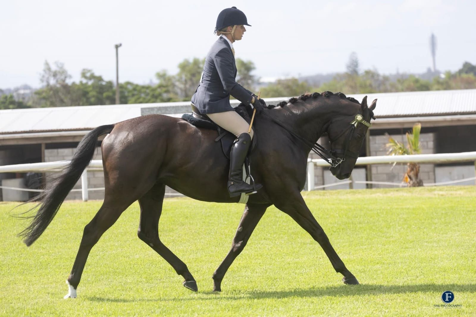 Eastern - SATURDAY SHOWING RESULTS at PERC Summer Show 2026: OPEN ...