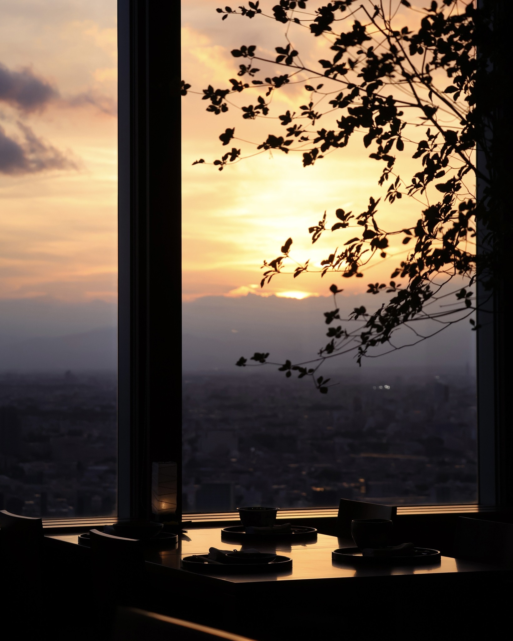 Park Hyatt Tokyo - パーク ハイアット 東京 | Shinjuku-ku Tokyo