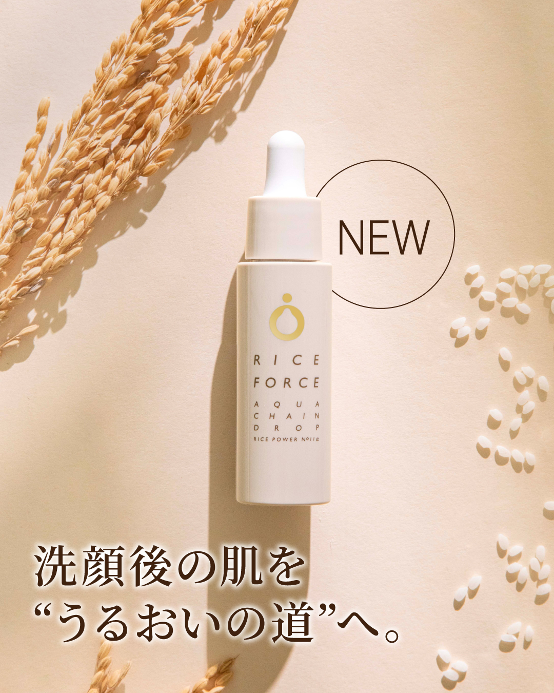ライスフォース ( RICE FORCE ) (@riceforce) • Facebook