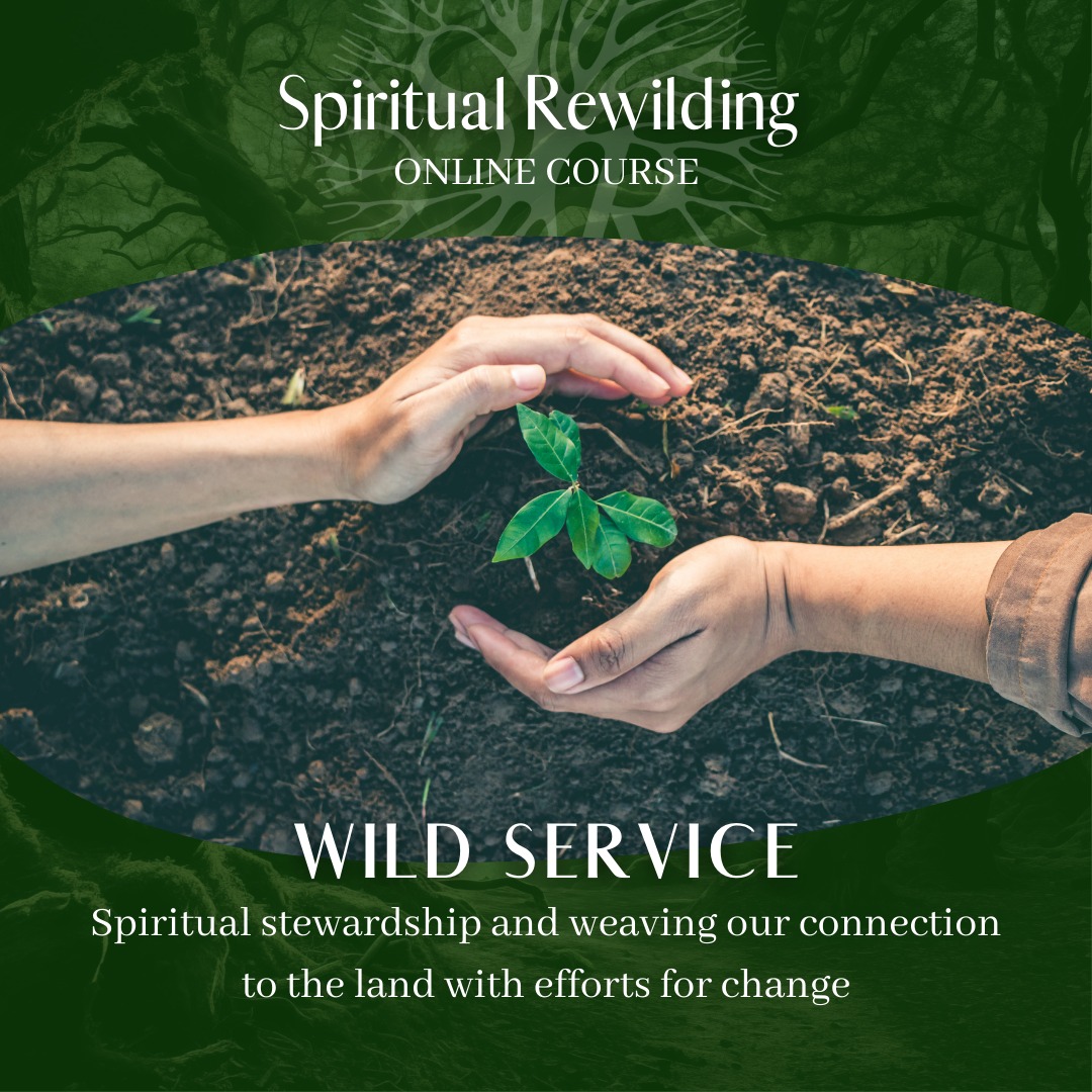 🌾 Wild Service - Rekindle the... - Spiritual Rewilding | Facebook