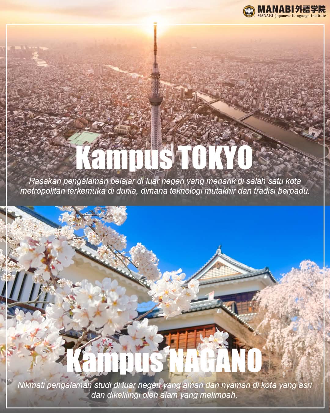 manabi 外語 学院