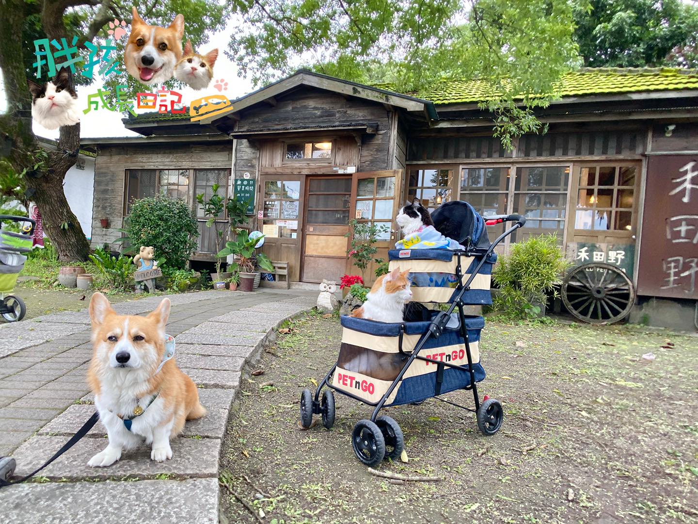 胖孩成長日記 - 好啊！都不要拍！ #媽媽脾氣好差🤣