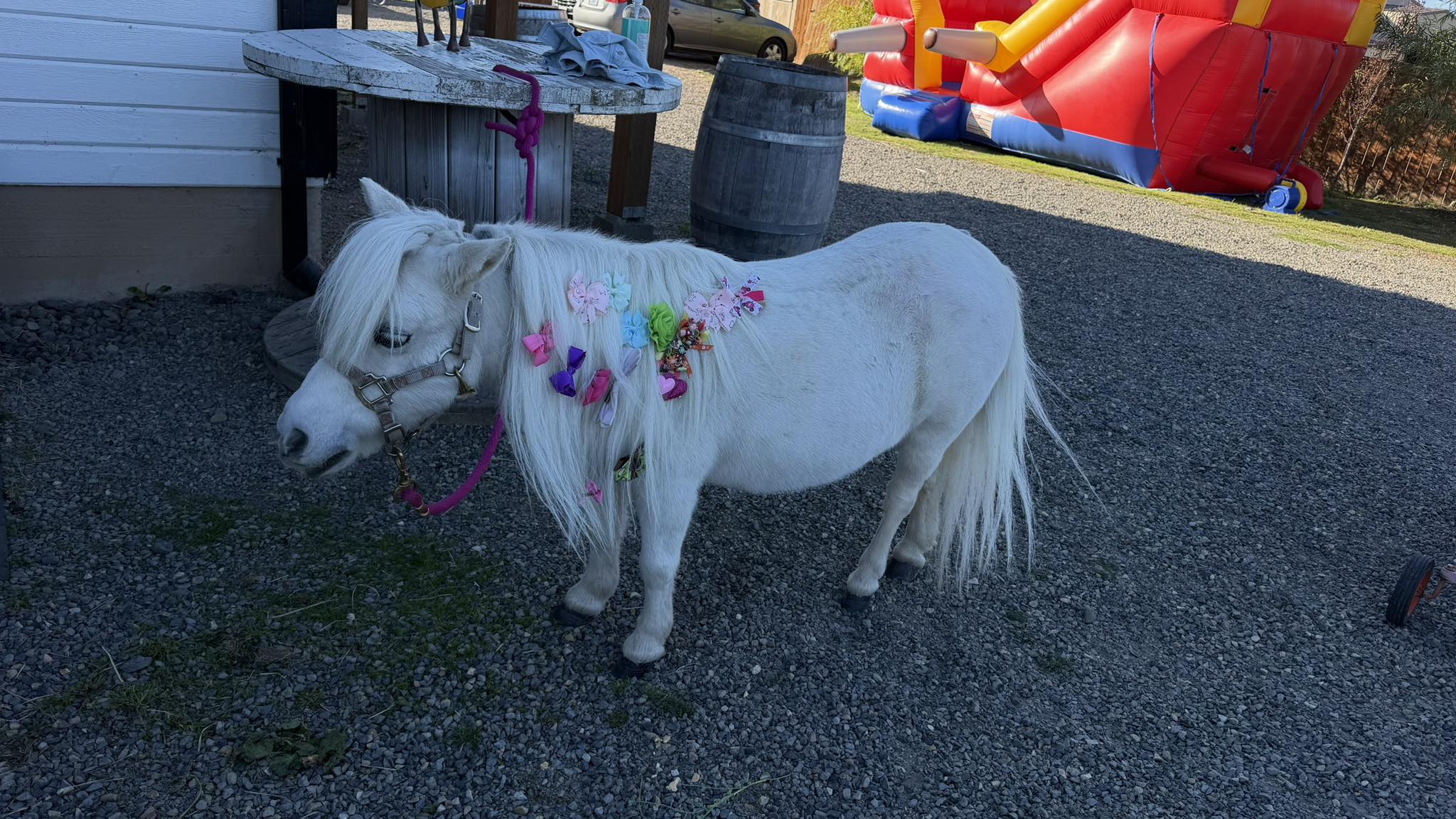 Rocking B Farms | Ridgefield WA