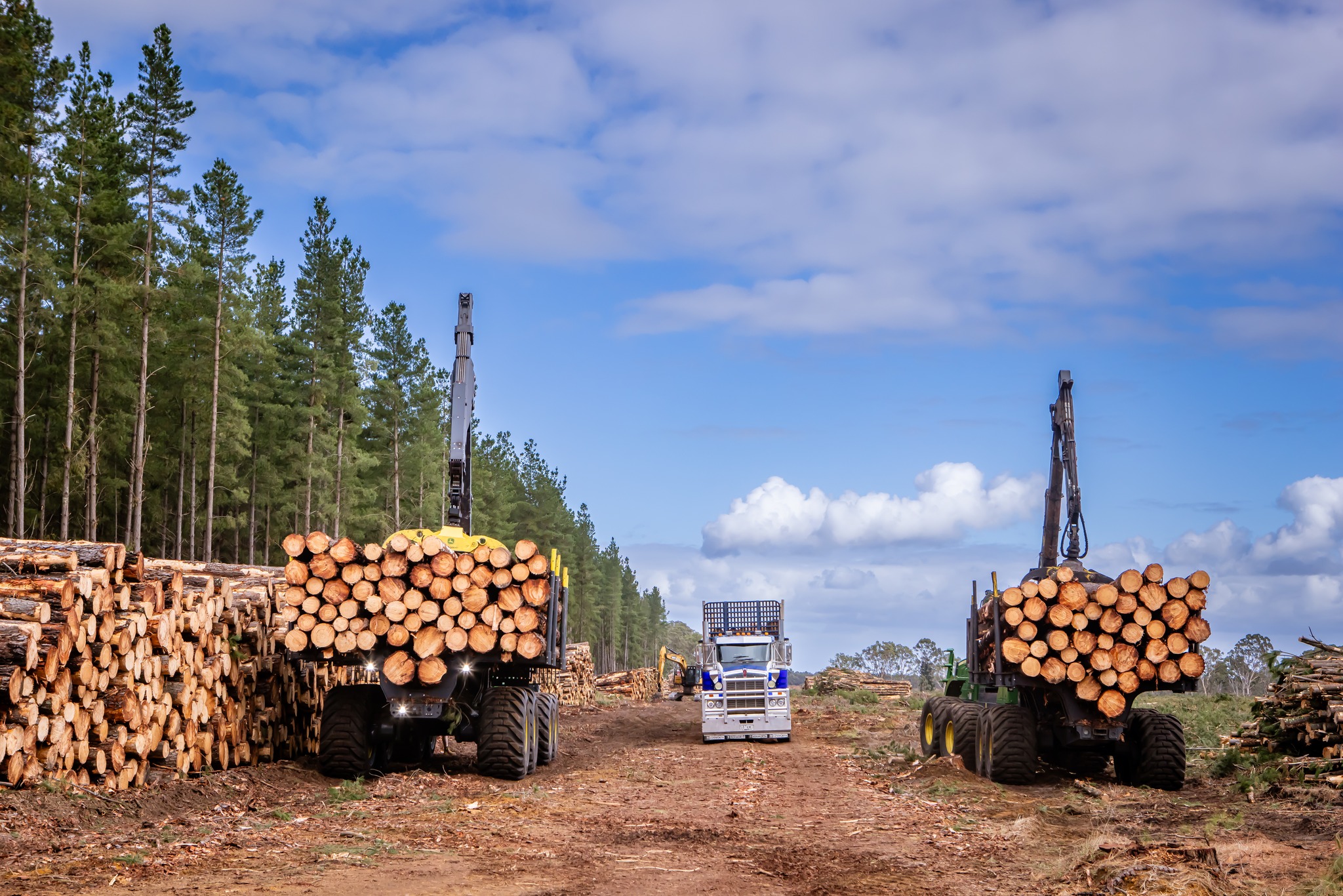 Merrett Logging | Penola SA