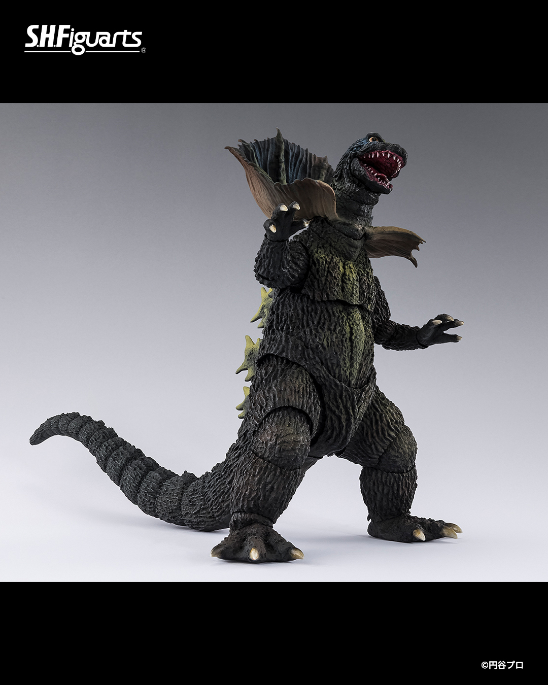 【コレクション】超大型3.5kg 水晶玄武彫 台座付 超希少一点物 Tamashii Nations／ Bandai Spirits Collectors Toy Department added