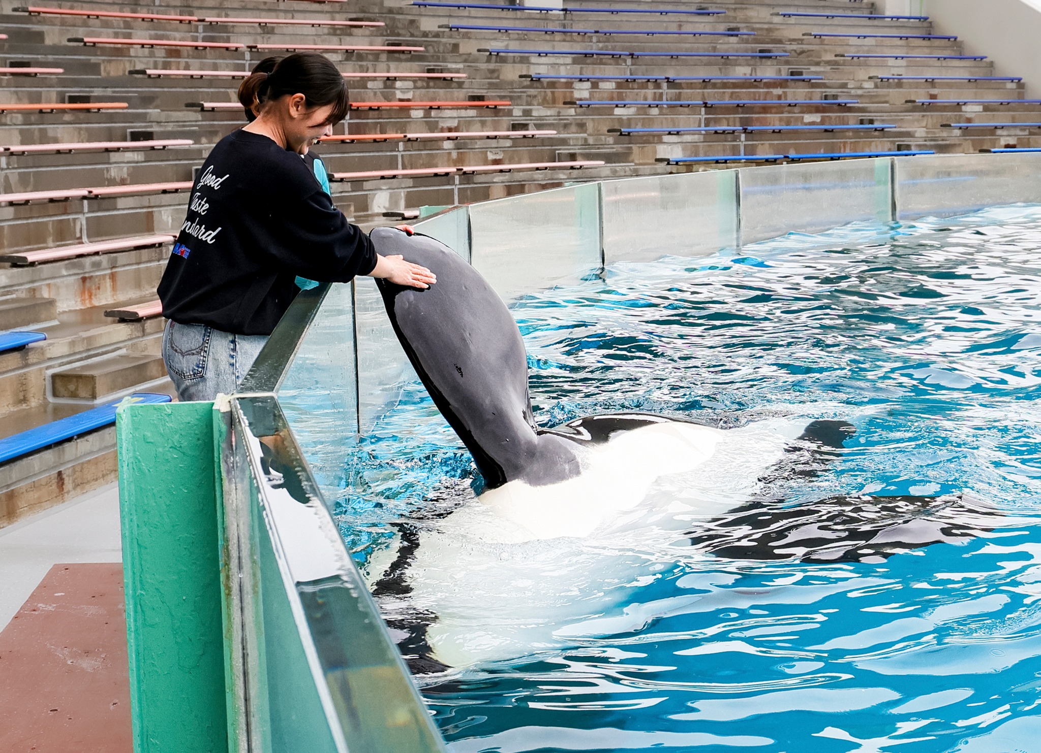 鴨川シーワールド Kamogawa Sea World - 鴨川シーワールド Kamogawa