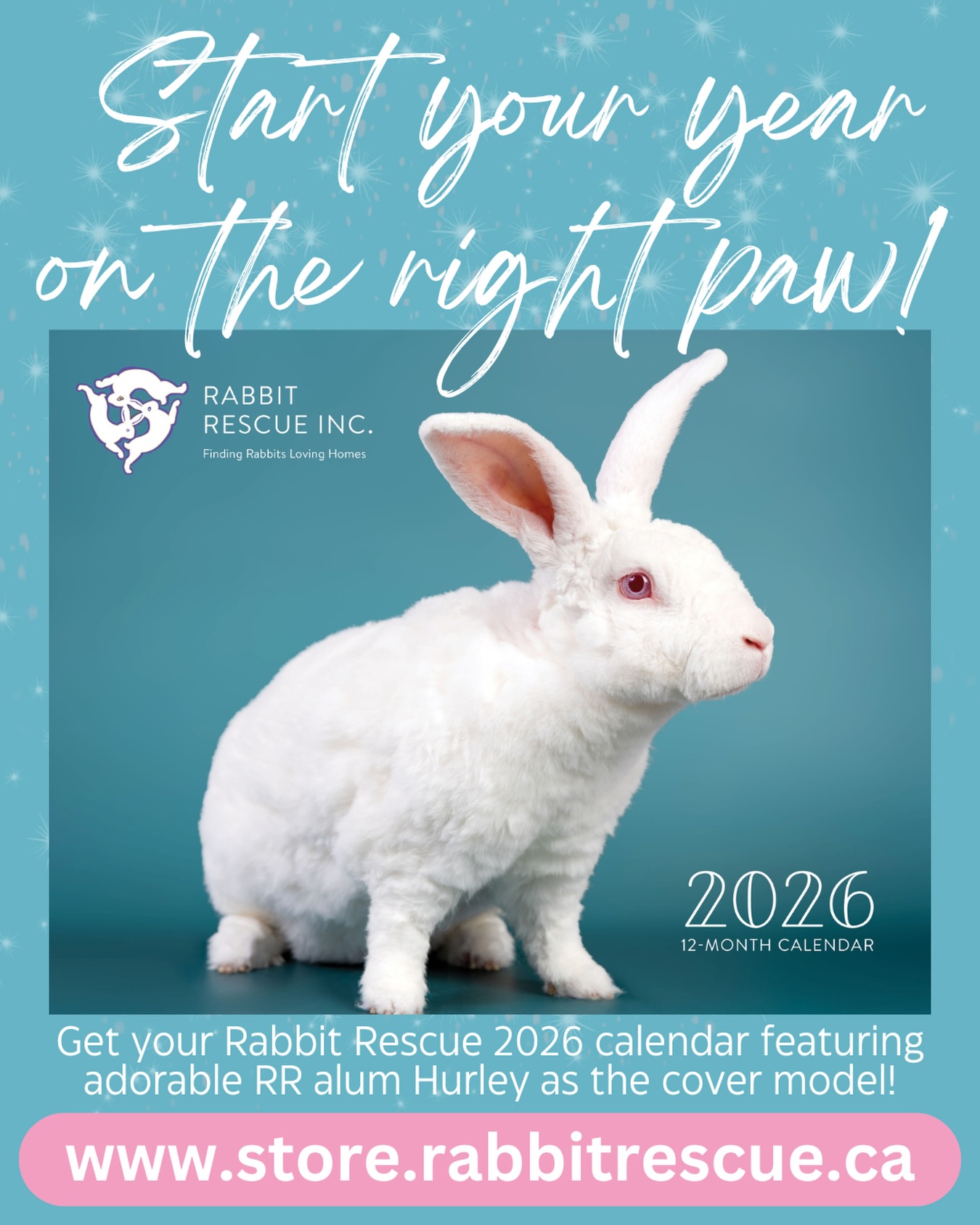 Rabbit - Start your year off on the right paw!! We still have some 2026 ...