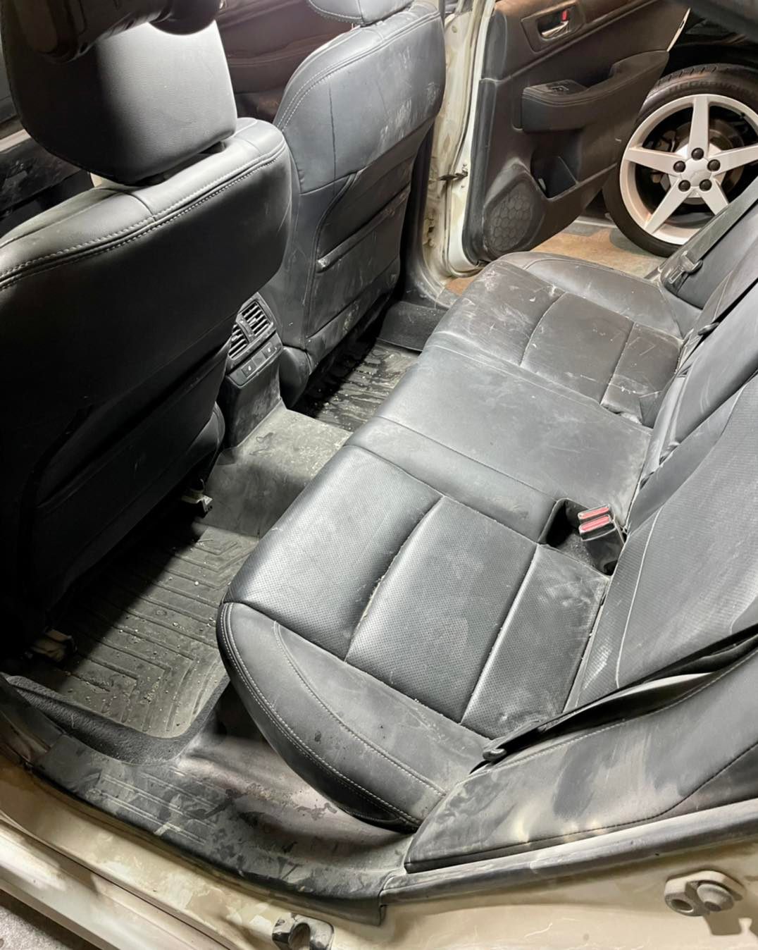 Dust N' Shine Auto Detailing | Lincoln NE
