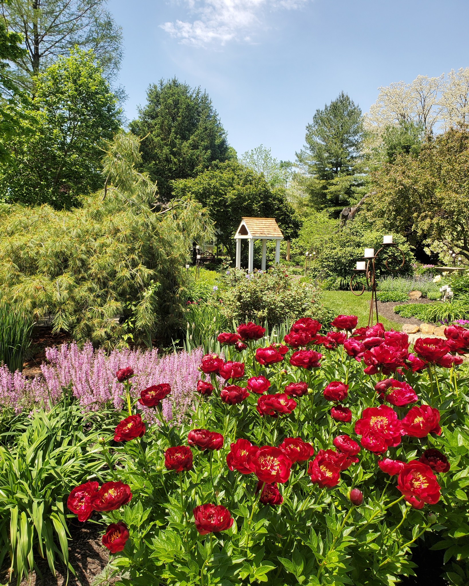 Spring-Palooza Peony Festival