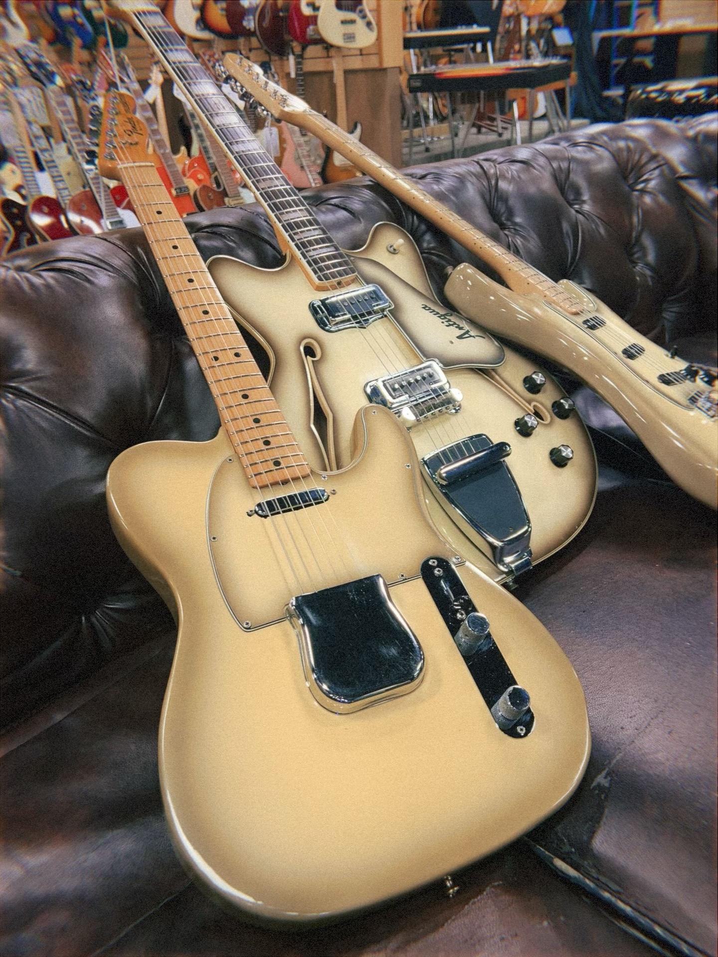 Antigua Party 🥳🥳🥳 1978 @fender #Telecaster, 1979 #Fender