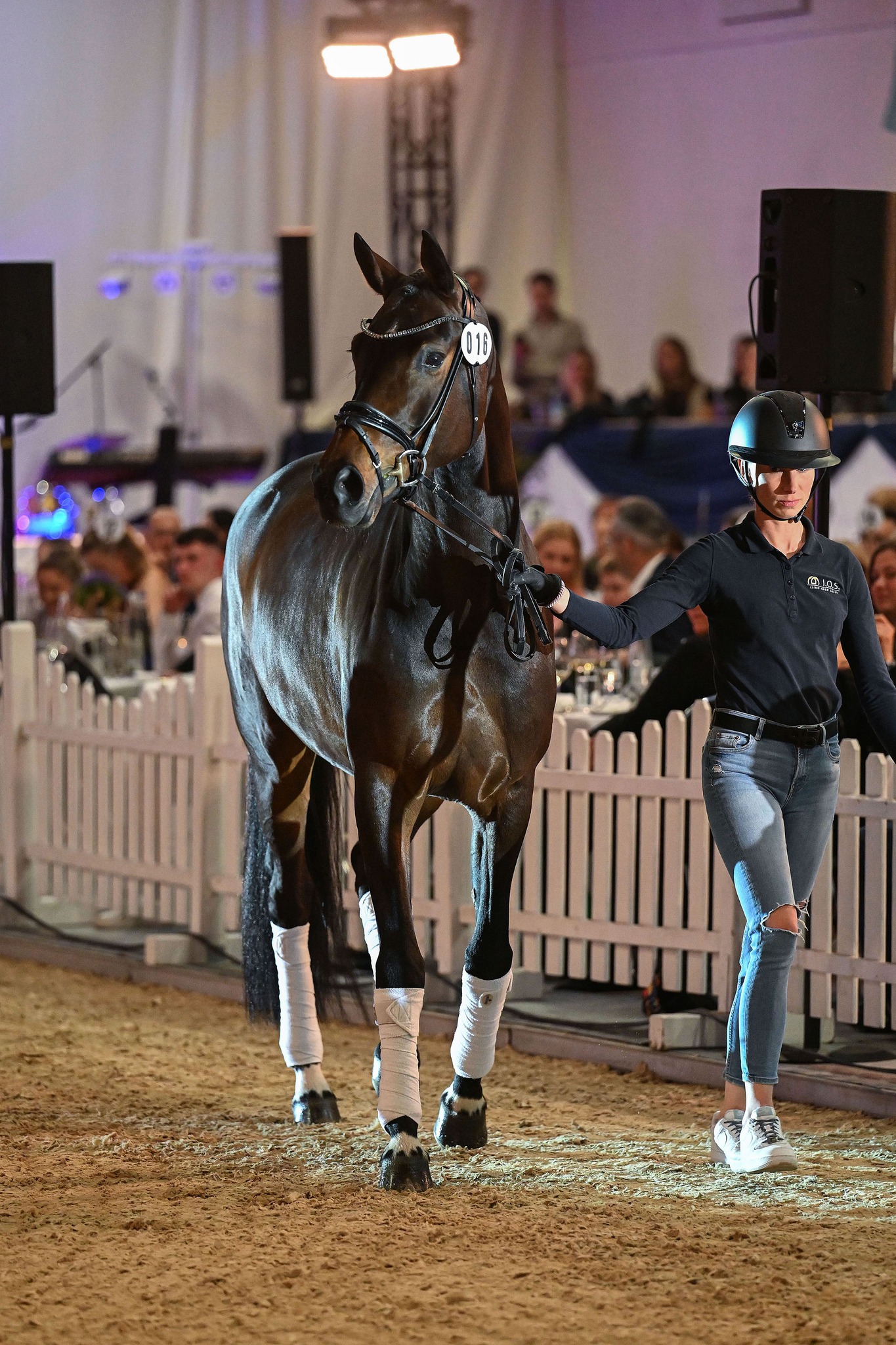 Successful premiere of the Ising Open Sales at Lake Chiemsee