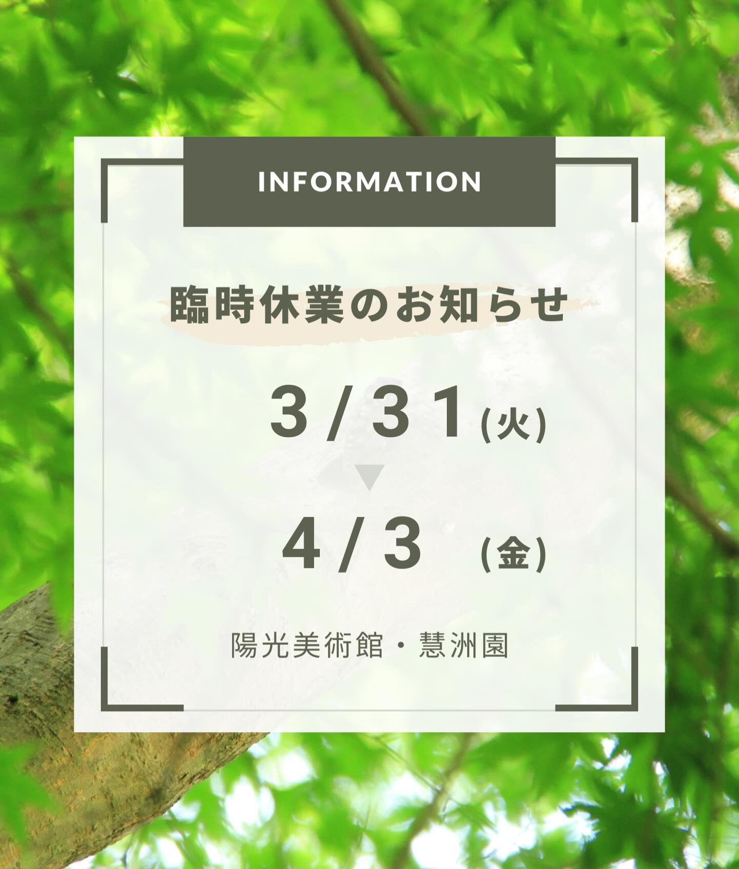 公益財団法人 陽光美術館 慧洲園 Yoko - ＼明日から開催✨／ 「玉