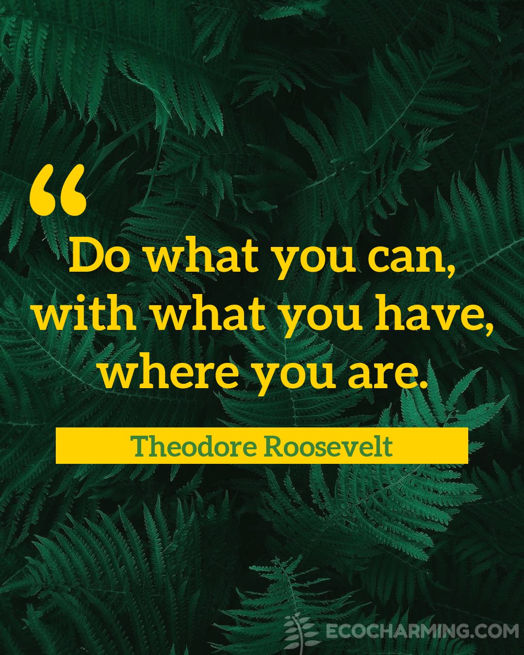 Ecocharming Com Do What You Can With What You Have Where You Are Theodore Roosevelt Ecoquote Quote Quoteoftheday Quotes Inspiration Instaquote Inspirationalquotes Climatechange Ecofriendly Gogreen Sustainability