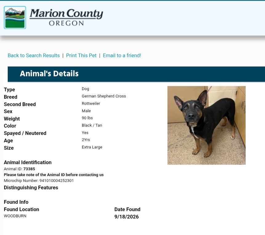 Lost and Found Pets of Salem Oregon