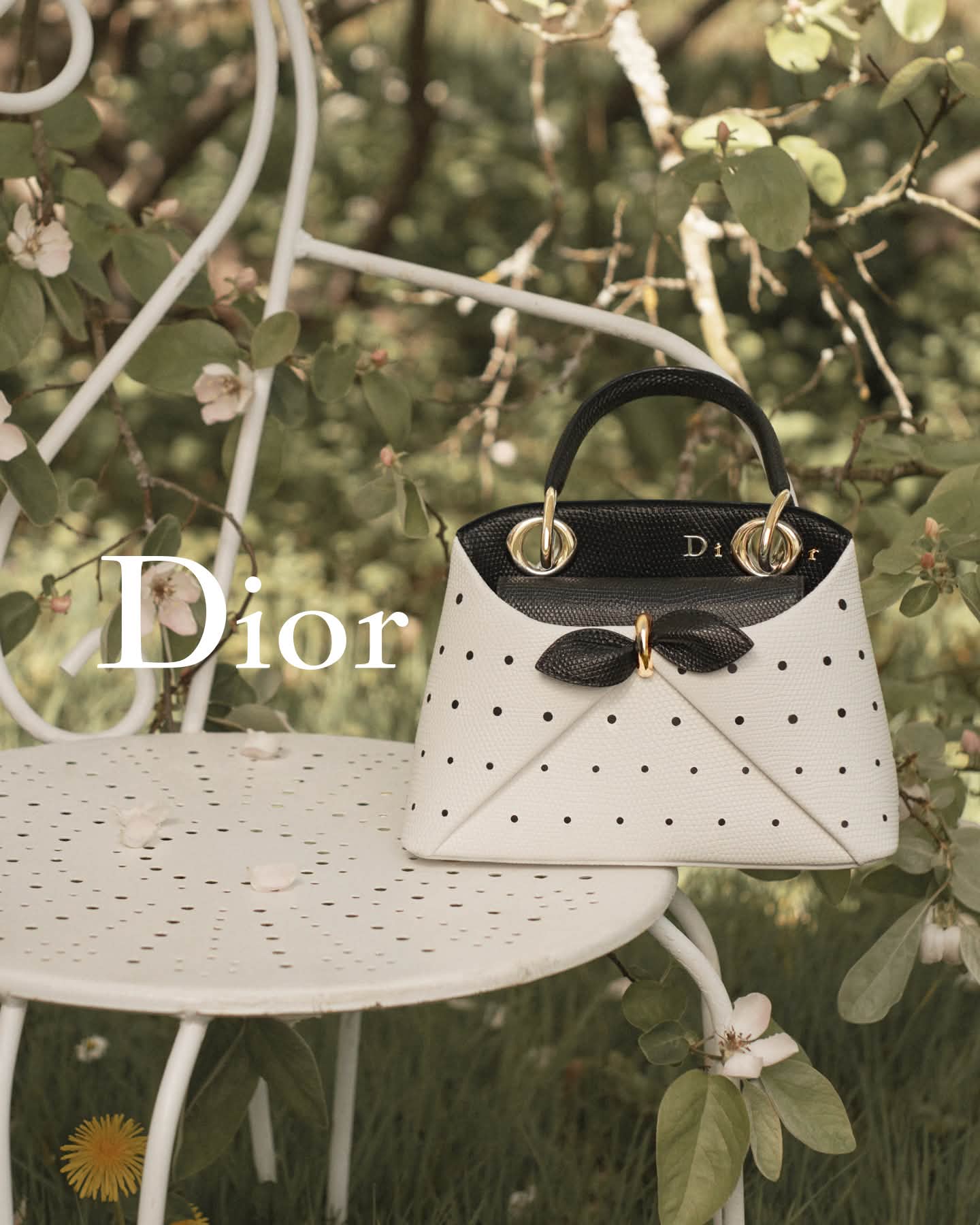 き*こ様 美品 Dior ミスディオール JILL STUART Tamburi Dior - Dior added a new photo.