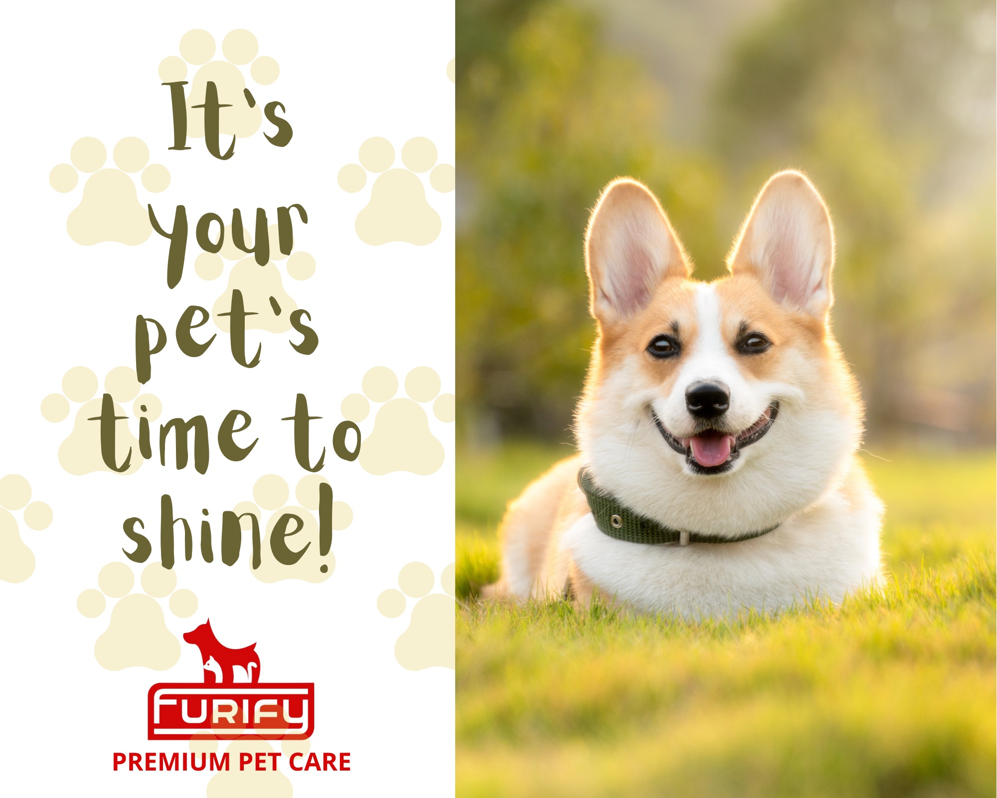 Furify | Quezon City