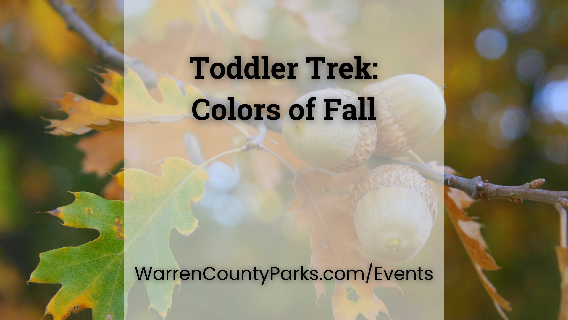Toddler Trek: Colors of Fall