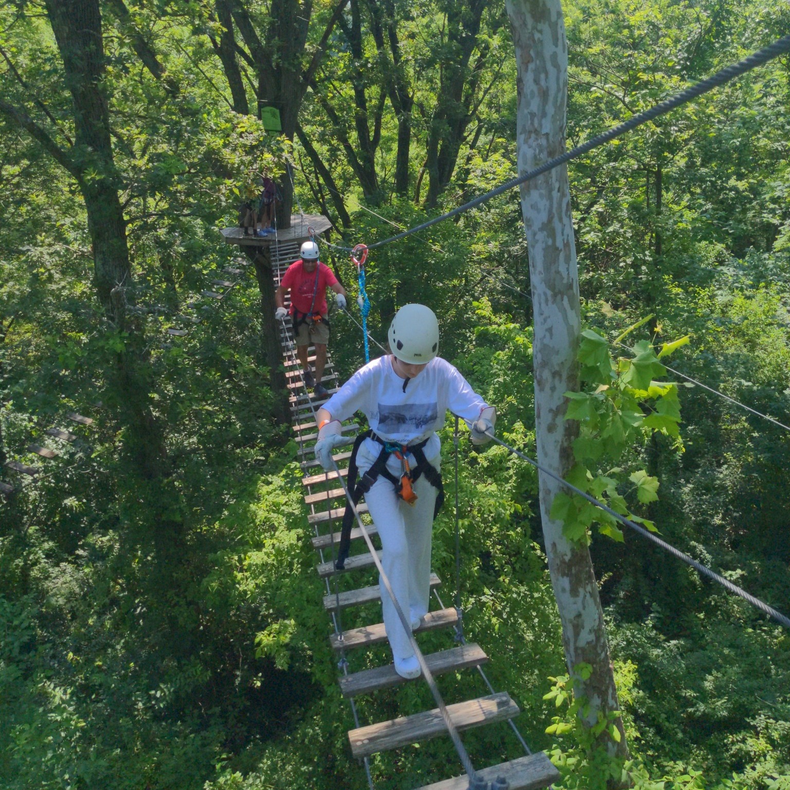 Screaming Raptor Zip Lines | Petersburg KY